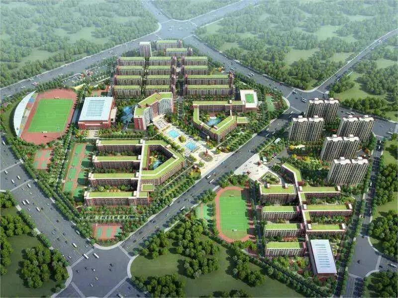 1589556581668329.jpg 3.jpg